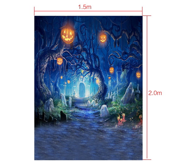 Photography Background Digital Printing
