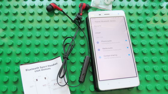 In-ear Earphones