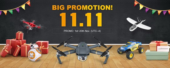 11.11 Big Promotion Sale