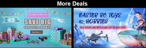 RC Toys Flash Sale