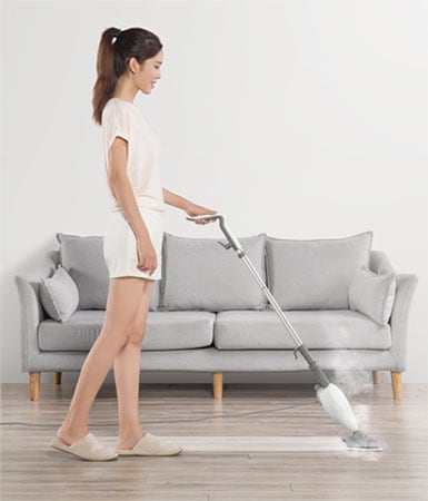 Steam Mop