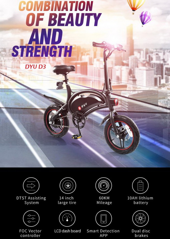 DYU E-bike