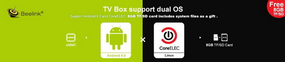 Dual System