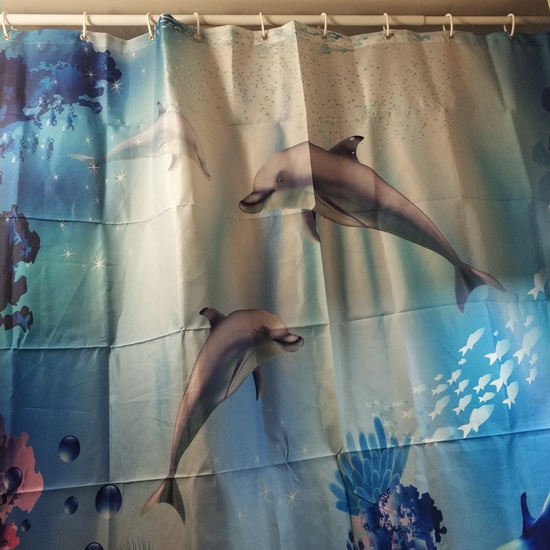Shower Curtain