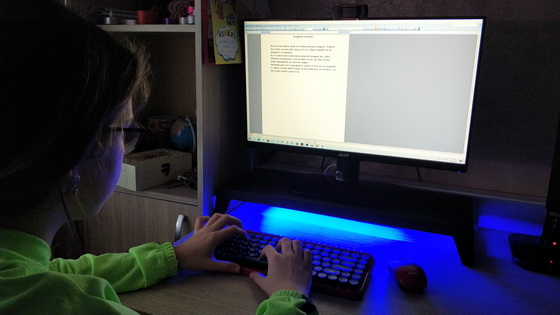 LANQ PCDock Pro