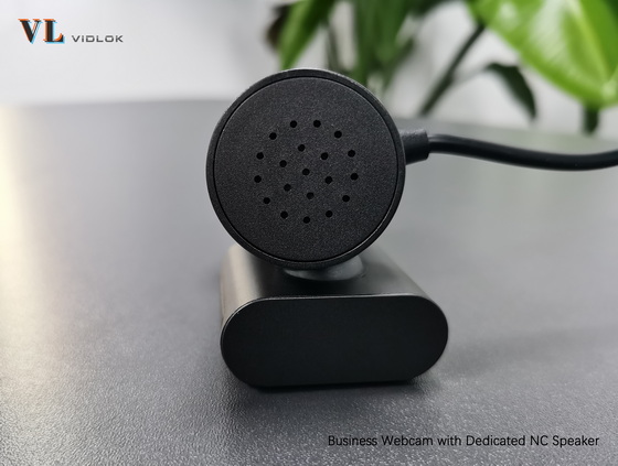 Vidlok Business Webcam W91