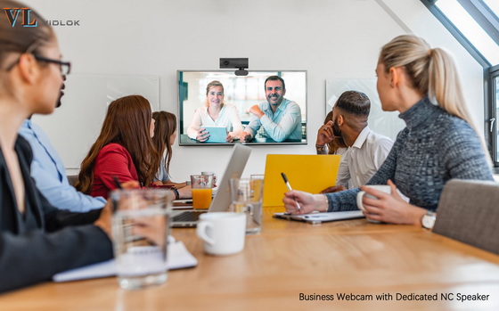 Vidlok Business Webcam W91