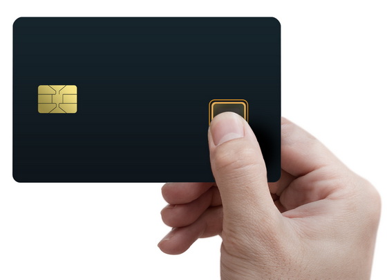Fingerprint Security IC 